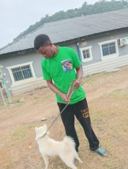 profile picture 0