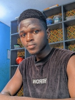 Alino's profile, a single 28-year-old a man in Lomé