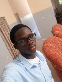 Moussa's profile, a single 19-year-old a man in Thiès