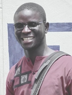 Pape Faye's profile, a single 29-year-old a man in Goudomp